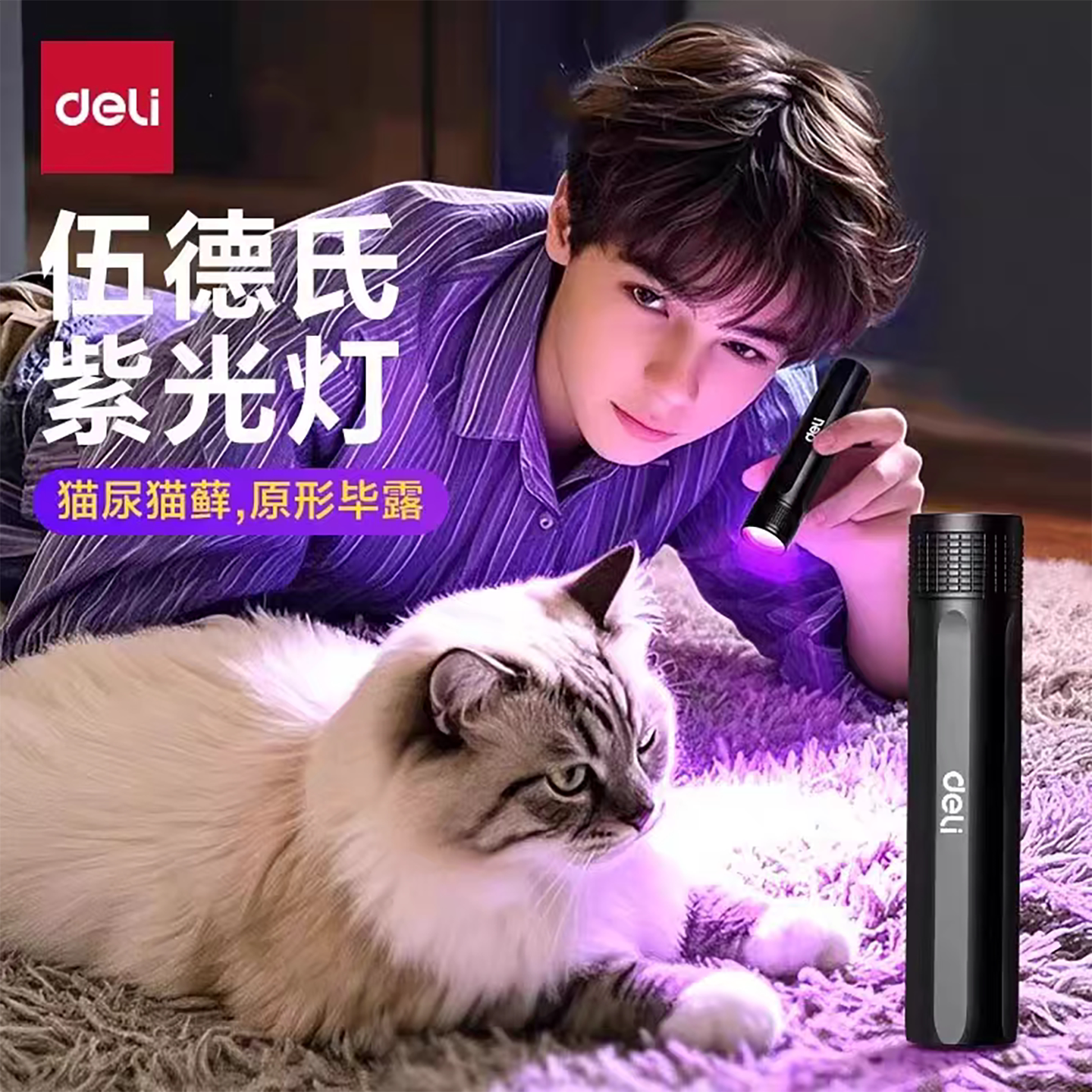 得力紫光灯伍德氏猫藓灯手电紫外图片