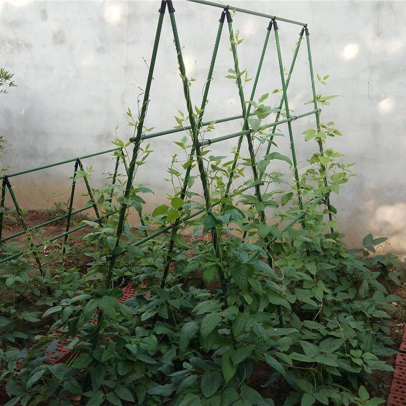 爬藤架种菜架子园艺花架花园阳台花爬架植物豆角黄瓜架葡萄架金小