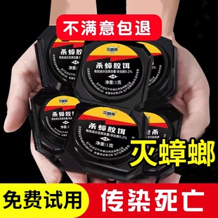 蟑螂药家用厨房饭店强效杀蟑螂全窝端餐厅灭蟑螂一锅端杀蟑胶饵