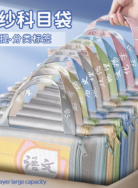 文件袋小学生学科科目分类袋大容量课本补习试卷收纳袋拉链式拎书袋手提袋子作业袋A4透明网纱双层文具学习袋