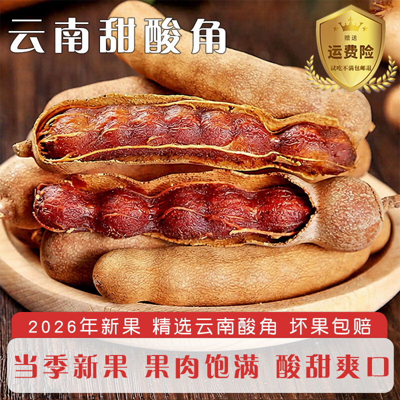 云南特产甜酸角新鲜大甜角新鲜酸甜角干孕妇开胃酸角带壳罗望子