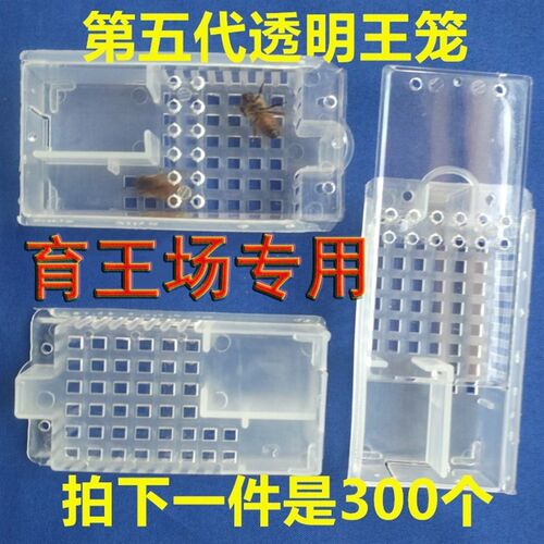 300个一件蜜蜂王笼透明邮寄种蜂王专用塑料王笼介王多功能囚王笼