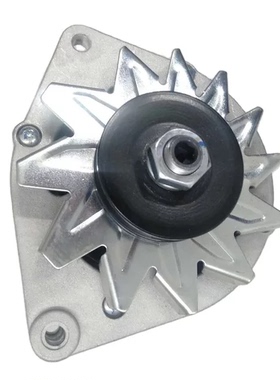 01183852林德H25堆高机发电机道依茨2011发电机F4L912/F4L913发电