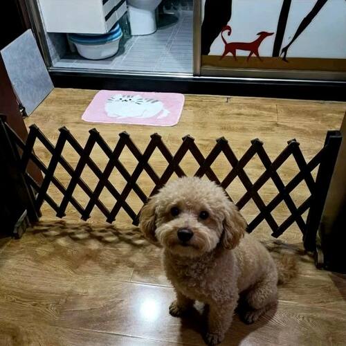 宠物狗围栏室内栅栏楼梯隔离门护栏实木隔断栏杆中小型犬猫狗门栏