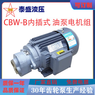 CB-B16/20/25/32R润滑泵CBW-16/25/32/40/63内插式齿轮油泵电机组