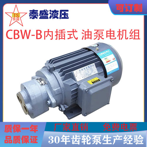 CB-B16/20/25/32R润滑泵CBW-16/25/32/40/63内插式齿轮油泵电机组