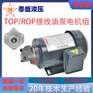 11A齿轮油泵380V机床车床润滑220V 13A摆线油泵电机ROP TOP 12A