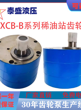 HYXCB-B125 HYXCB-B63 25 80稀油站齿轮油泵 圆锥破碎机齿轮泵