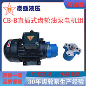 0.37 B2.5JZ 0.55KW润滑 B10R锯床齿轮油泵电机组CBW