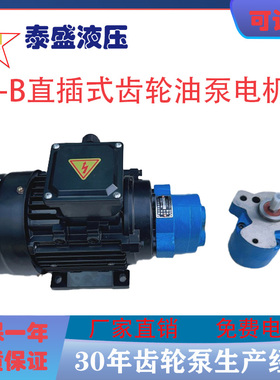 CB-B6/B4/CB-B10R锯床齿轮油泵电机组CBW-B2.5JZ 0.37/0.55KW润滑