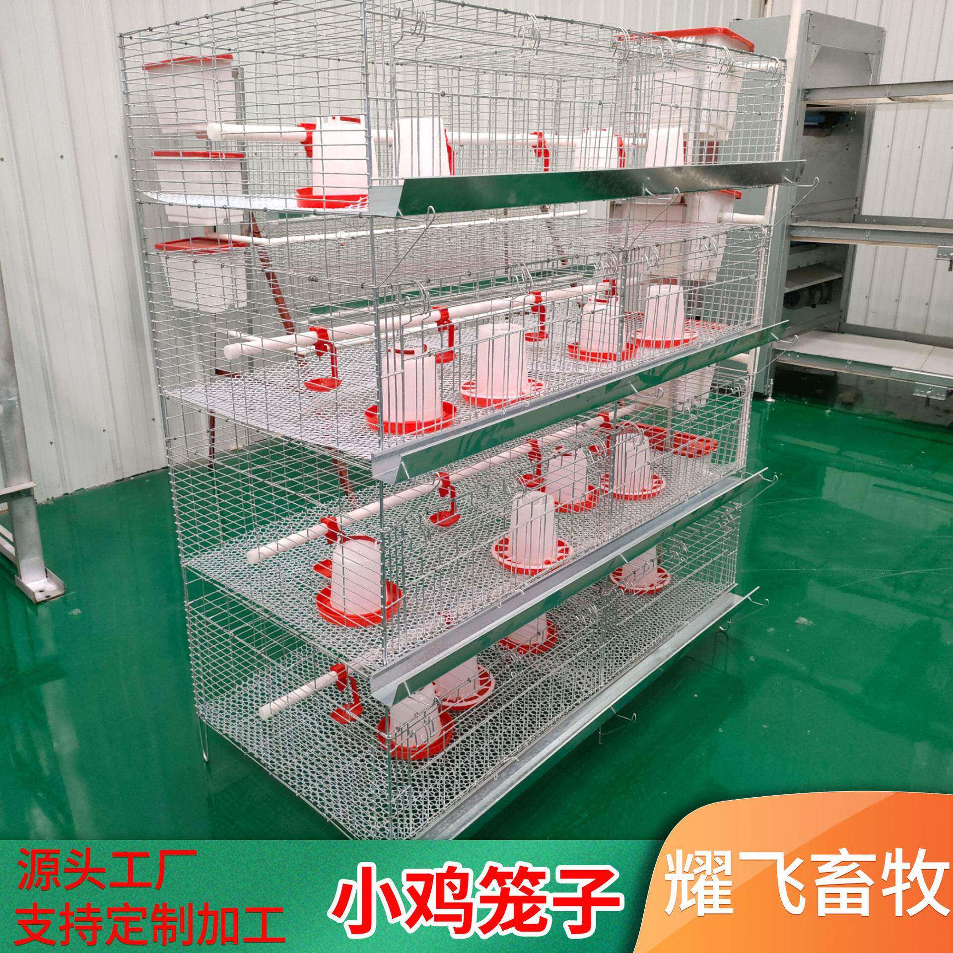 加粗四层小鸡笼养殖场用小鸡笼子多层养鸡笼子养鸡设备立式育雏笼