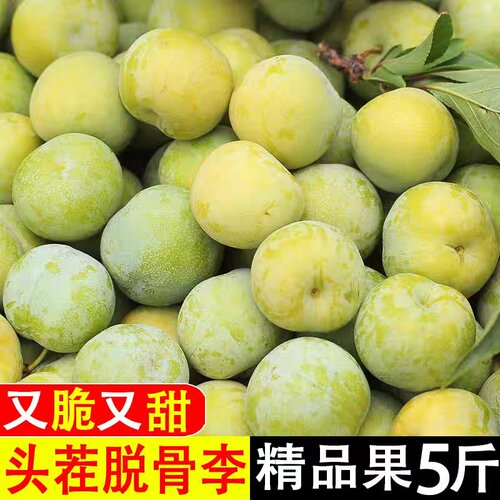 脱骨李正宗四川李子新鲜脆甜空心李5斤孕妇水果三月蜂糖巫山当季3