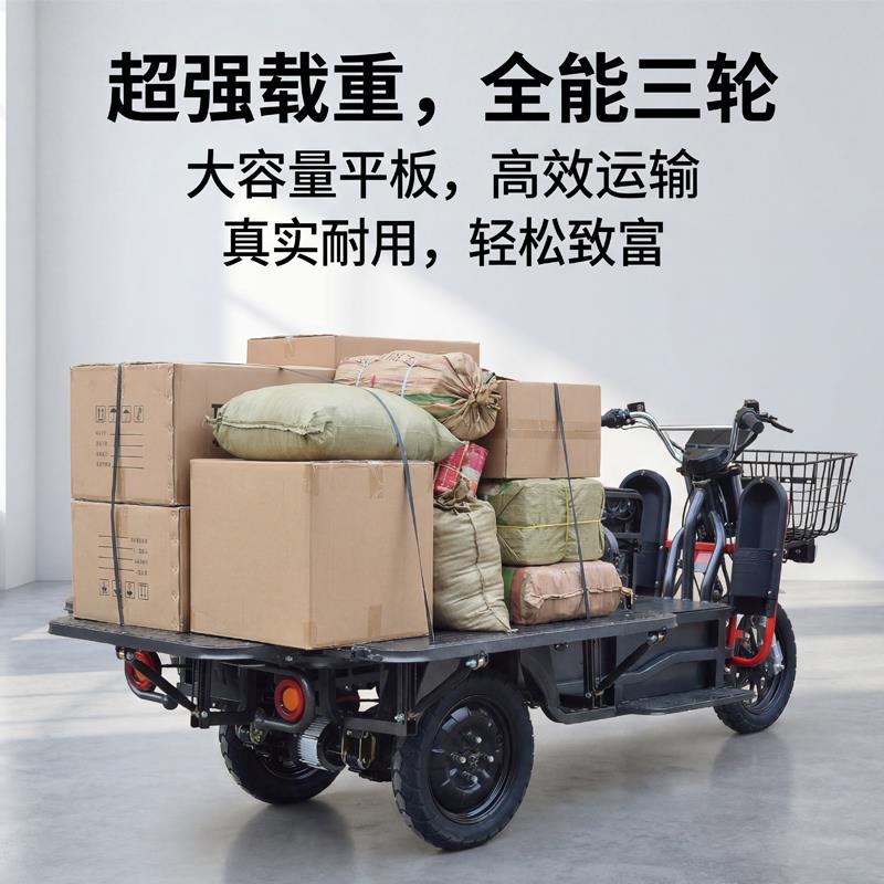 载重王三轮车电动三轮车拉货载货山区爬坡小型路霸长续航锂电瓶车