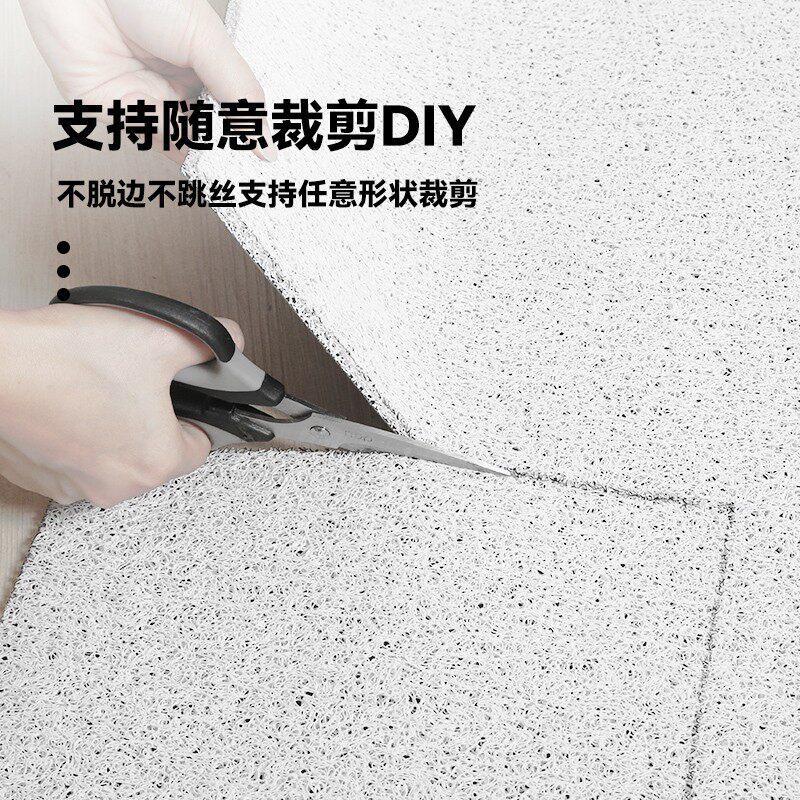 轻奢进门地垫入户门垫室外大门口丝圈蹭土脚家用耐脏毯子可剪裁