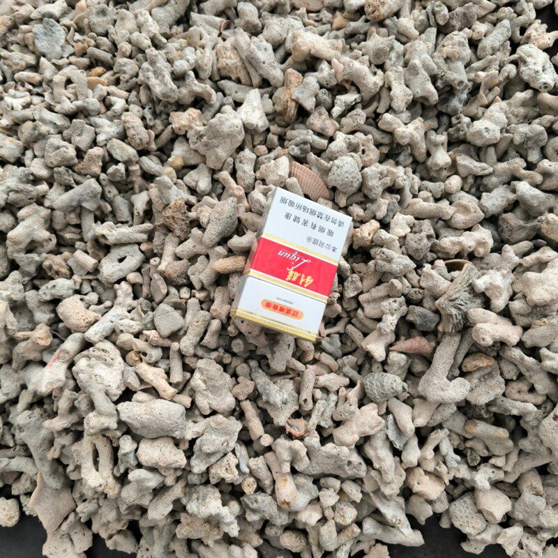 珊瑚石过滤锦鲤鱼池净水培菌滤材珊瑚沙海鲜池商用鱼缸珊瑚骨滤材