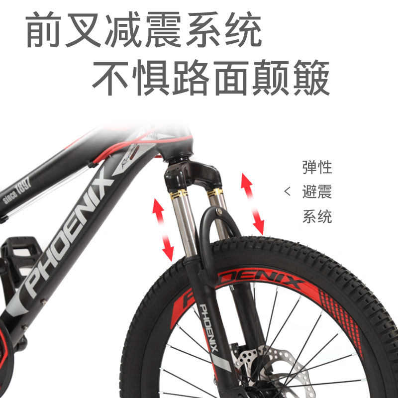 凤凰儿童自行车女童中大童车女孩男孩小孩学生脚踏单车10岁山地车
