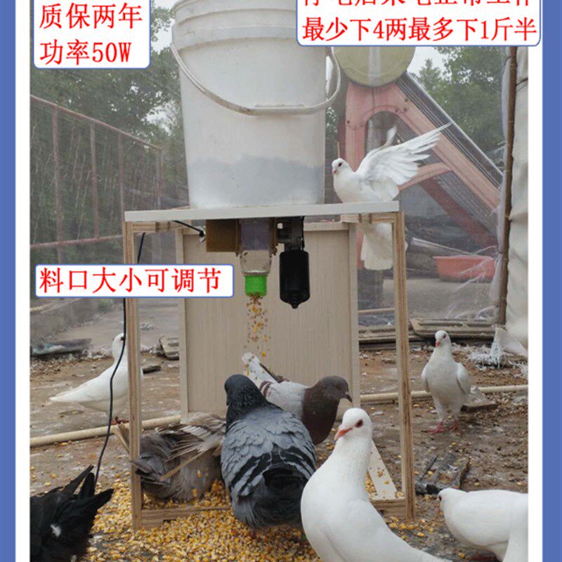 信鸽观赏鸽养鸡鸭鹅全自动喂食器散养食槽喂料机盒定时远程喂料盒