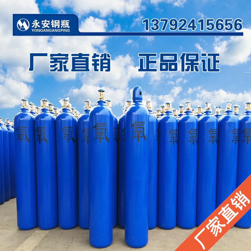 国标氮气瓶工业10升15升40无缝钢瓶气罐小氩气瓶氧气10lL二氧化碳