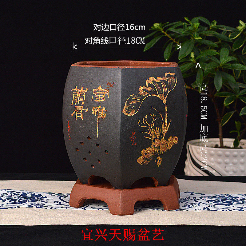宜兴紫砂兰花盆091六方精品兰绿萝吊兰景植物带托透气包邮