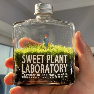 苔藓威士忌微景观摆件苔藓瓶子室内桌面创意绿植物生态瓶生日礼物