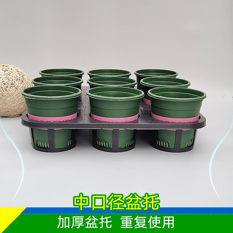 9孔中口径托盘托架加厚加仑花盆苗杯托架托盘多肉盆托架育苗穴盘