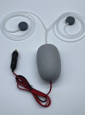 555暴力气量12V点烟机增氧泵车载点烟器用氧气泵户外钓鱼运输打氧