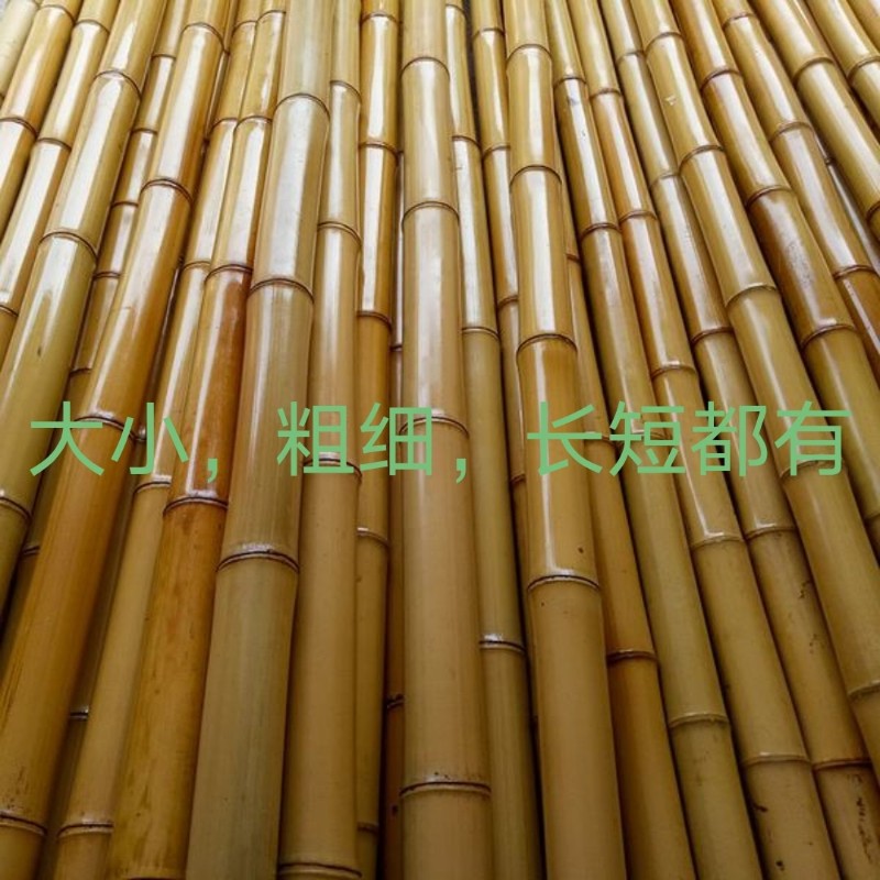 竹子装饰防腐定制篱笆毛竹楠竹室内吊顶隔断竹子杆搭架竹竿装饰