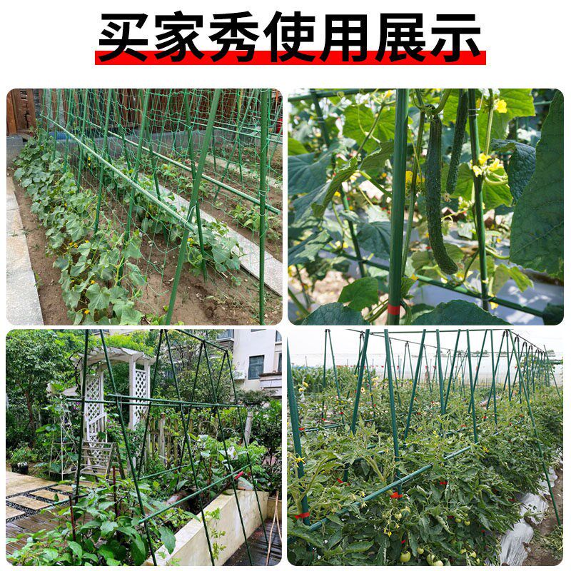 黄瓜爬藤架豆角架杆西红柿支撑杆种菜搭架子庭院葡萄种植箱爬藤架