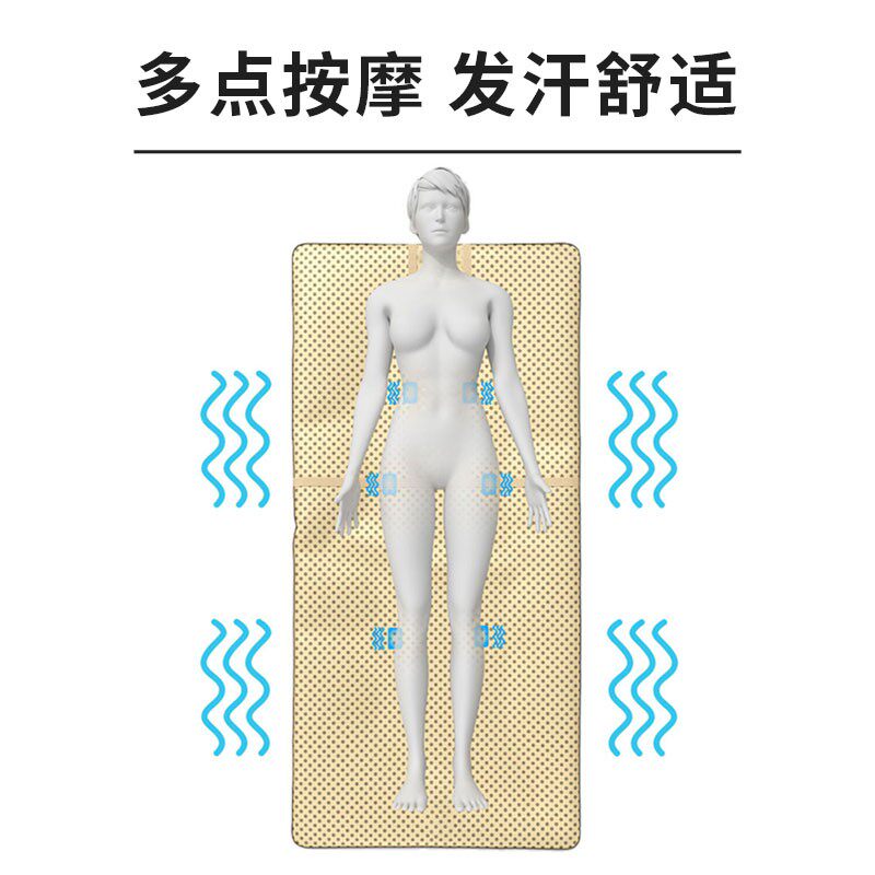 扶元汗蒸毯沙棘排湿排酸汗蒸箱家用全身无排毒发汗袋桑拿房干蒸机