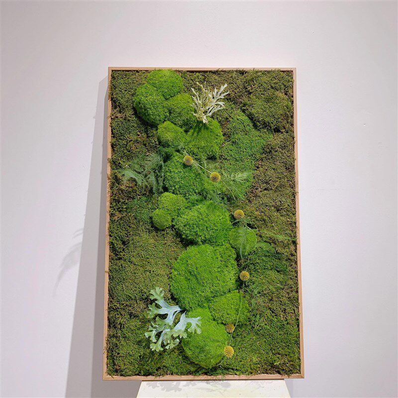 永生苔藓画植物墙假青苔仿真绿苔装饰背景墙壁挂遮丑白发藓装饰画