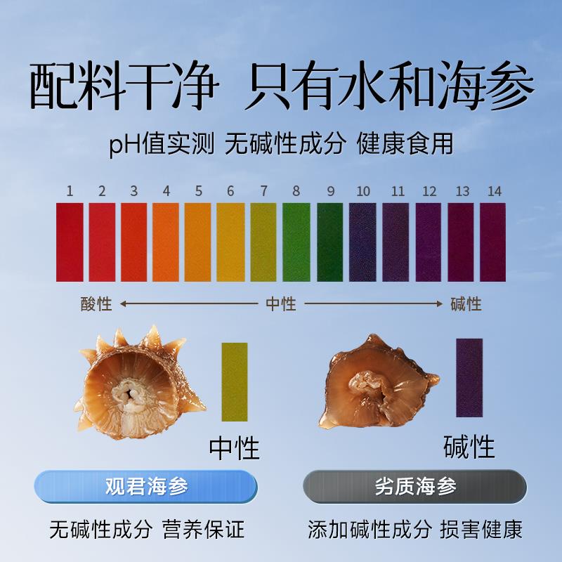 观君大连直发即食海参礼盒辽刺参独立包装节日送礼