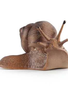 儿童仿真蜗牛模型庭院盆景装饰摆件PVC实心静态蜗牛外贸货源