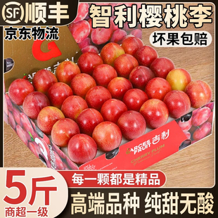 智利进口樱桃李纯甜红李子新鲜时令孕妇水果礼盒装节日送礼水果