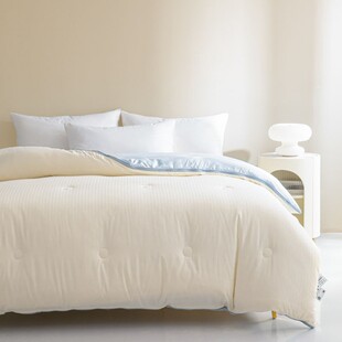 大豆棉丝绵被子春秋被四季通用被芯被保暖母子被天内胆HAY被褥驼