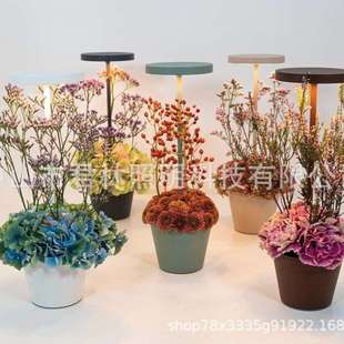 外贸l新款花盆de高脚灯花盆灯花盆卧室字厅灯氛围桌面工台灯客氛
