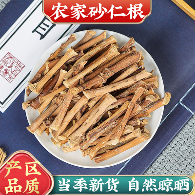 中药材砂仁根阳春春砂仁干根煲汤煮水自晒砂仁根新货