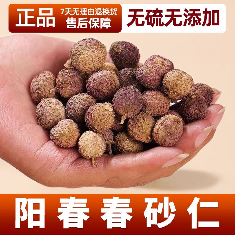 永康元正宗阳春春砂仁无硫广东砂仁特产野生春砂仁果沙仁中药材