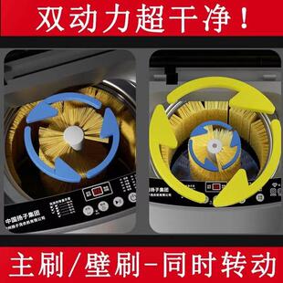 扬子洗鞋机全自动家用小型洗脱一体烘干专用机智能懒人专用刷鞋机