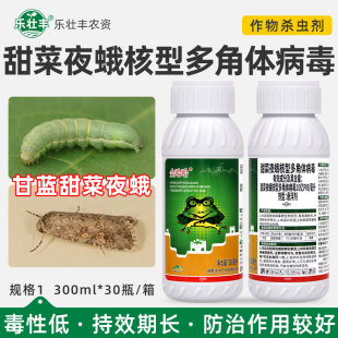 甜菜夜蛾核型多角体病毒蔬菜甘蓝甜菜夜蛾专用药金哈哈农药杀虫剂