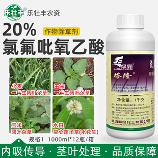 塔隆氯氟吡氧乙酸水花生猪殃殃草一年生阔叶杂草小麦田除草剂