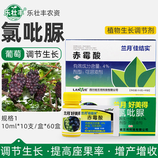 兰月好美得氯吡脲氯呲脲赤霉酸葡萄专用增产坐果灵植物生长调节剂