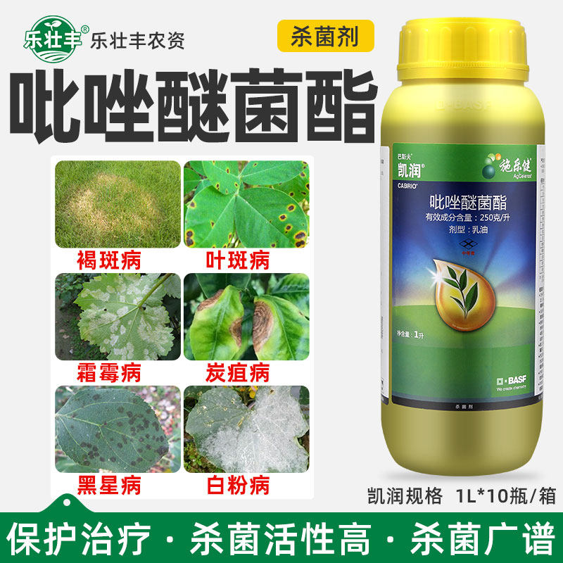 巴斯夫凯润吡唑醚菌酯农药杀菌剂