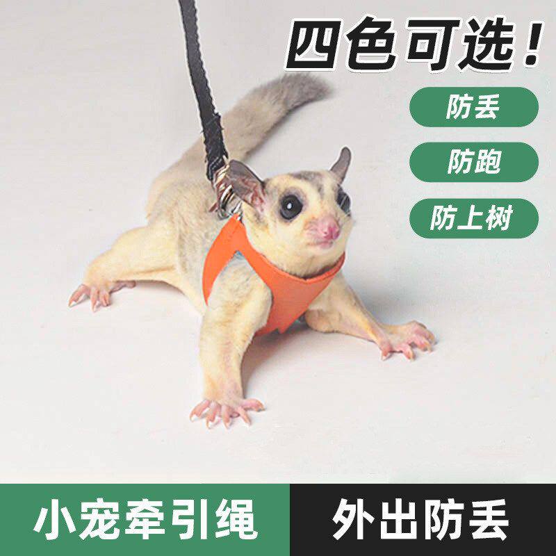 防背心外出牵引绳蜜袋鼯蜜袋鼯舒适安全 逃脱小宠透气专用宠绳溜