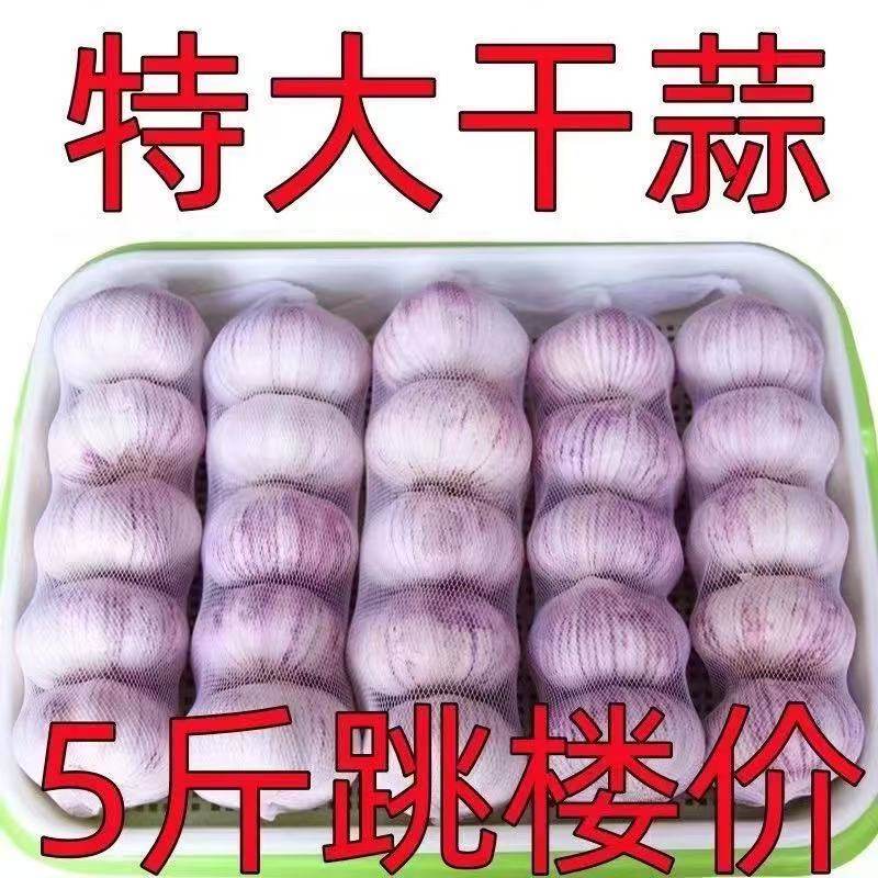 补贴】金乡大蒜新鲜干大蒜头5斤装蒜籽2025当季蔬菜批发紫皮大蒜