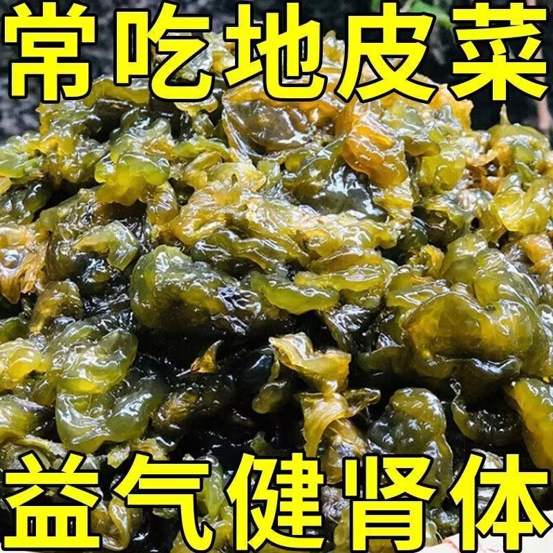 地皮菜甘肃野菜干货地软地达菜地衣雷公菌地耳新货地皮菜野生批发