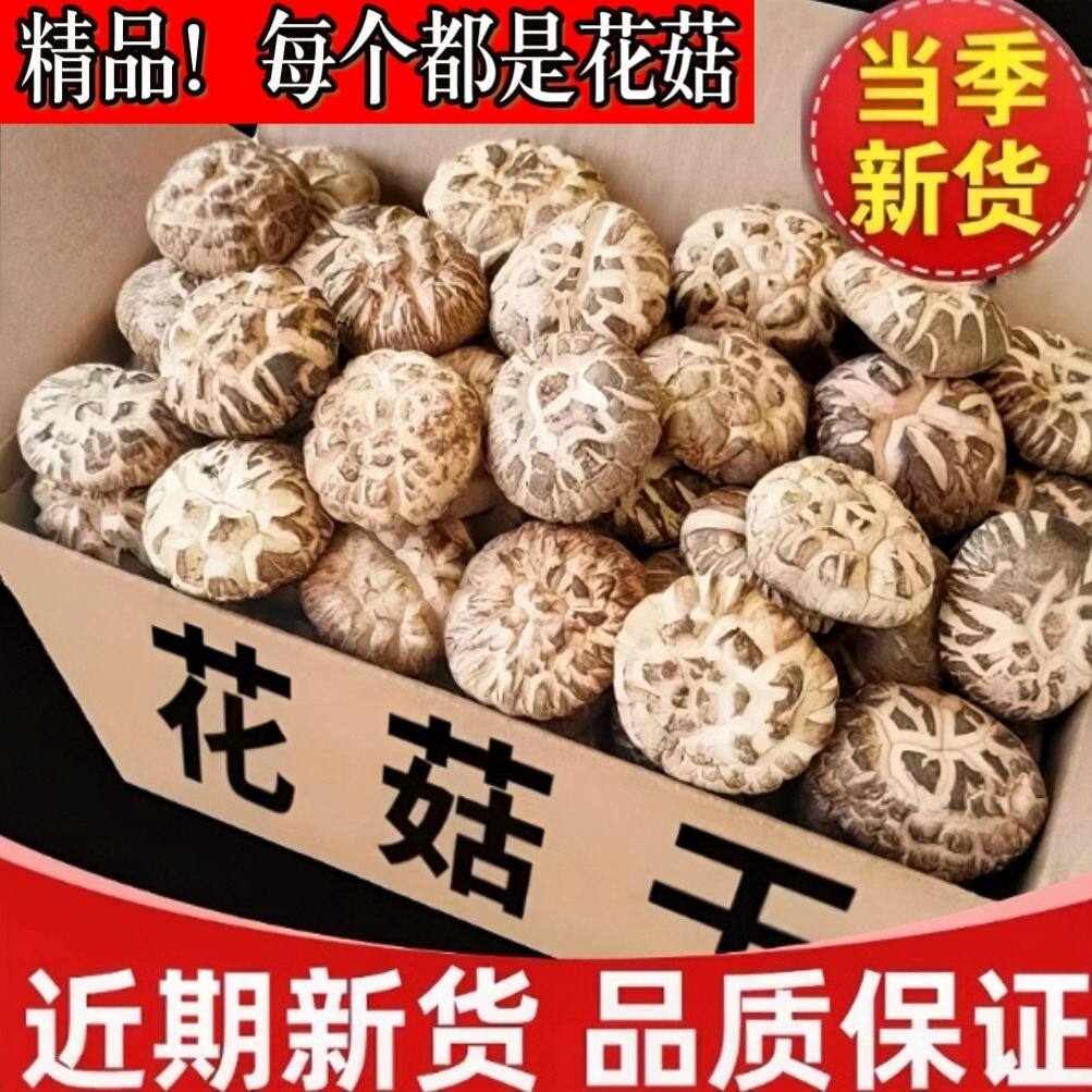 新鲜大花菇现摘现发时令当季超大号泌阳花菇新鲜蘑菇