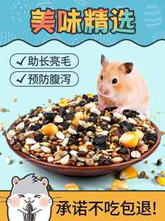 极速仓鼠吃的小零食五谷杂粮高蛋白幼鼠用M食粮磨牙棒套装蛋白质