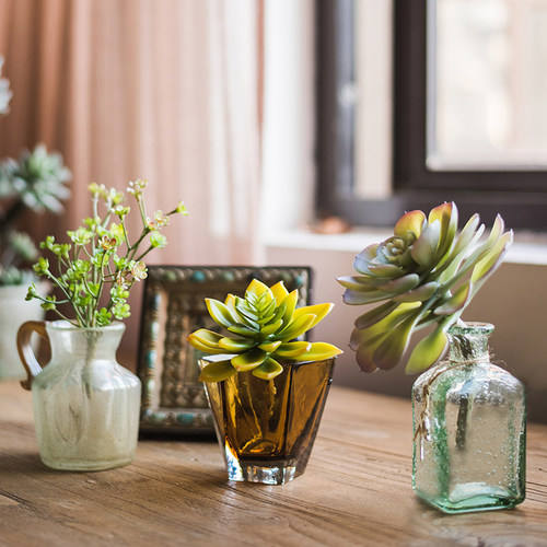 极速掬涵石莲花石竹观音莲佛手莲芦荟仿真多肉植S物绿植小盆景装