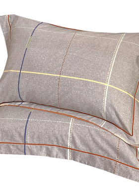 极速纯棉磨毛枕套一对装秋冬冬季家用成人48Gcmx74cm加厚100全棉