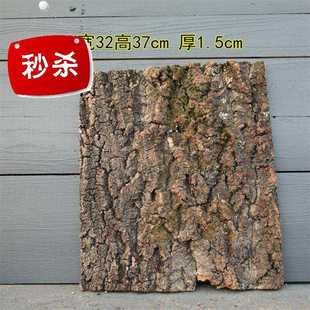 极速中国香槟树皮 橡树皮栓树鱼缸 爬F虫背景栎l树皮香槟木造景